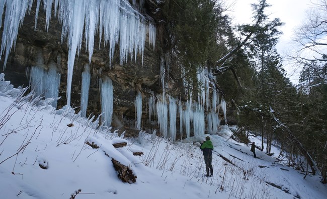 Towering sandstone ice curtains and snowshoe trail along the Pictured Rocks escarpment near Munising